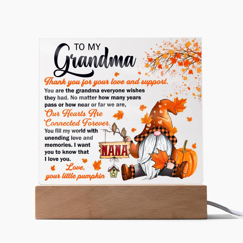 Grandma's Love and Support Acrylic Plaque