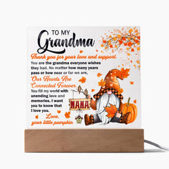 Grandma's Love and Support Acrylic Plaque